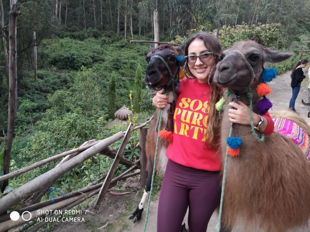 Hostal Killa Llullu Quito Dış mekan fotoğraf