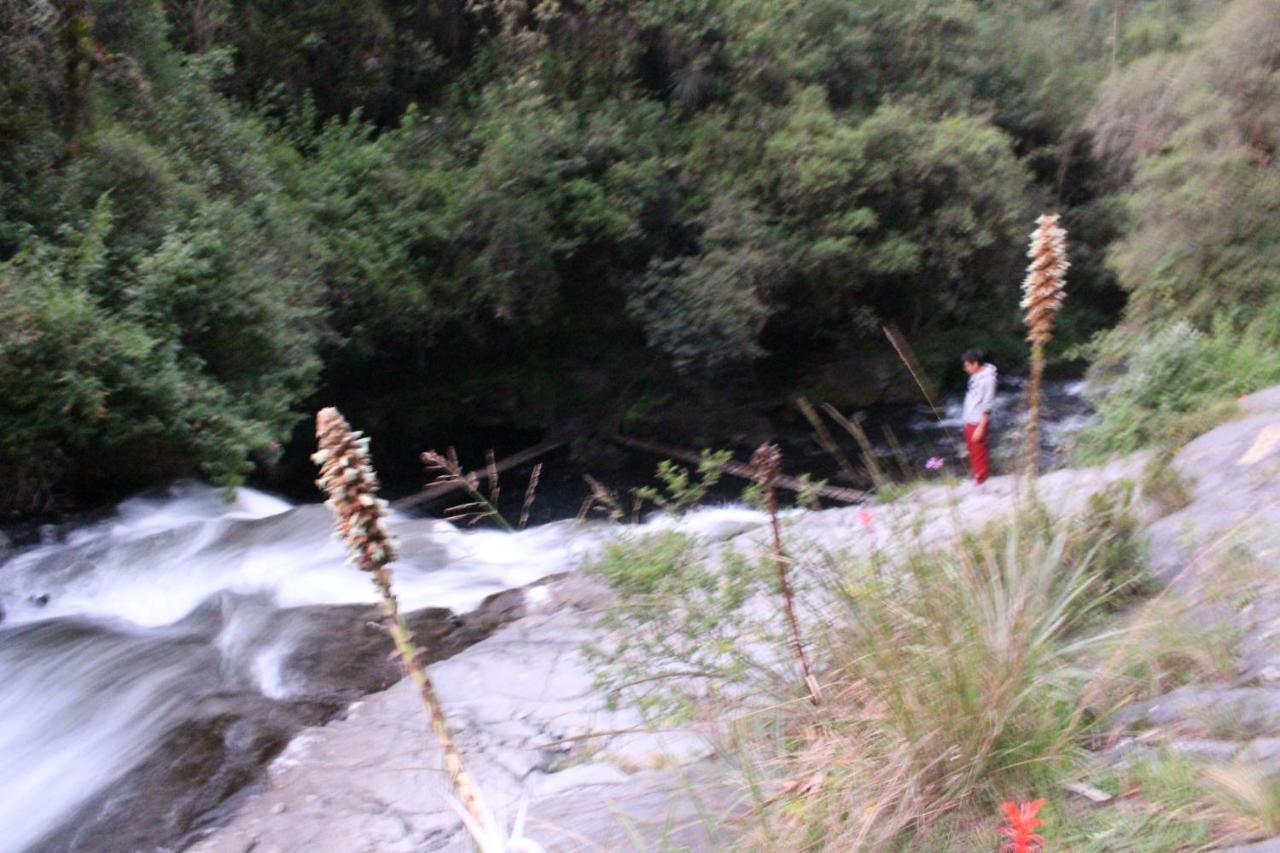 Hostal Killa Llullu Quito Dış mekan fotoğraf