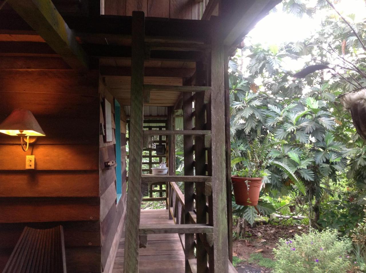 Hostal Killa Llullu Quito Dış mekan fotoğraf