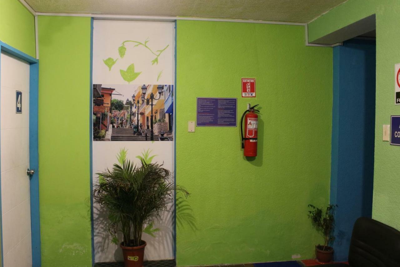 Hostal Killa Llullu Quito Dış mekan fotoğraf